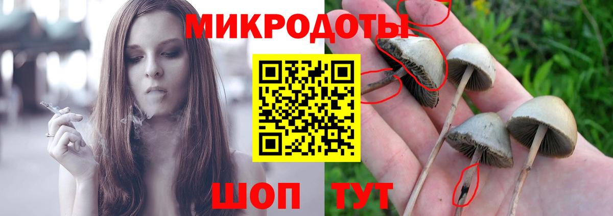 Псилоцибиновые грибы ЛСД Кохма